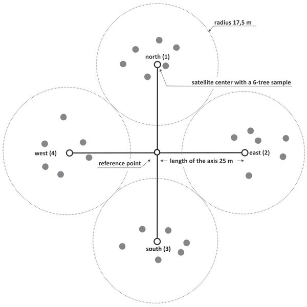 Cross-cluster plot method A reference point is established at the center of the cross-cluster plot. A satellite center is located 25 meters away in each of the four cardinal directions. Six tree samples are collected within a 17.5-meter radius of the satellite center.