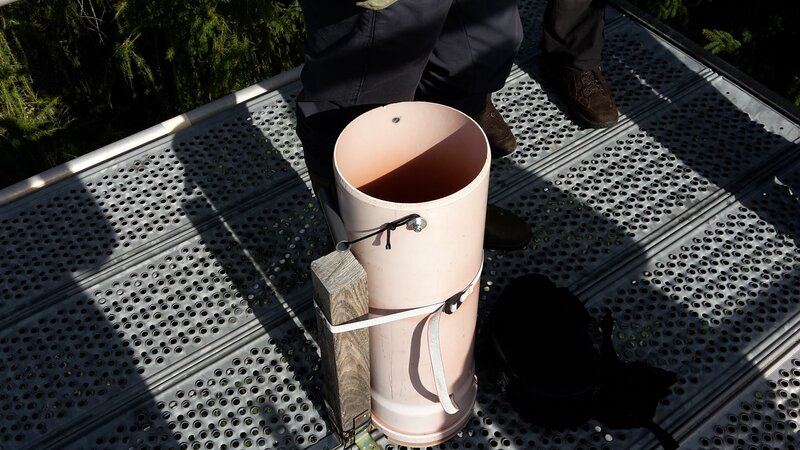 Freifläche im Conventwald