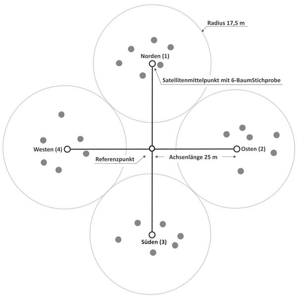 Im Mittelpunkt des Kreuztrakts wird ein Referenzpunkt festgelegt. In einem Abstand von 25 Metern befindet sich in alle vier Himmelsrichtungen je ein Satellitenmittelpunk. Sechs Baum- Stichproben werden in einem Radius von 17,5 Metern um den Satellitenmittelpunkt aufgenommen. 