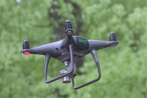 Drohne in einem Waldbestand